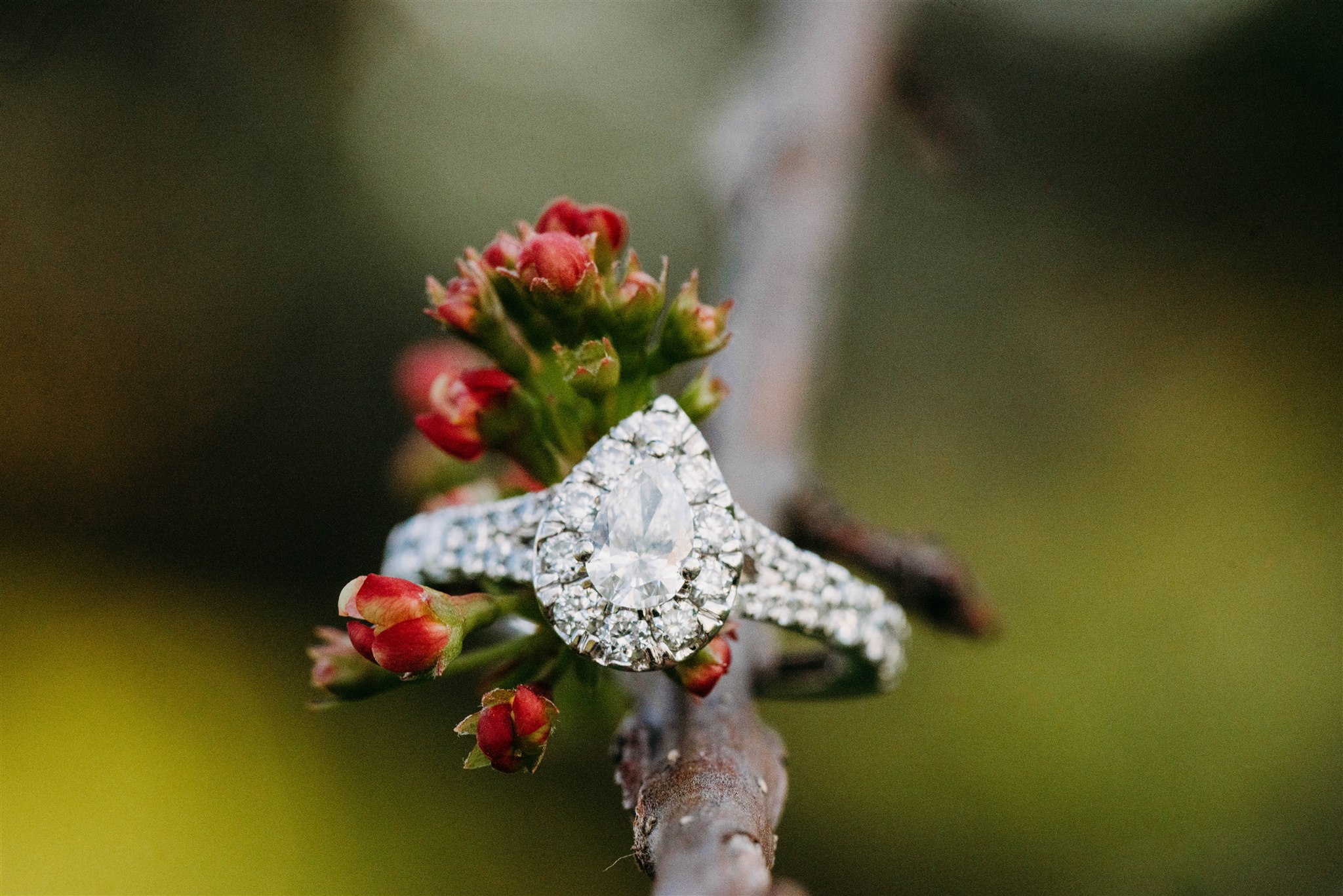 Lake-Katherine-Palos-Heights-engagement-ring-photo-session